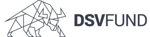 Digital Strategies & Ventures Fund Ltd