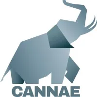 Cannae Portfolio Advisors LLC