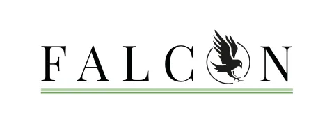 Falcon Management International Inc
